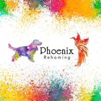 Phoenix Rehoming