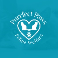 Purrfect Paws Feline Welfare
